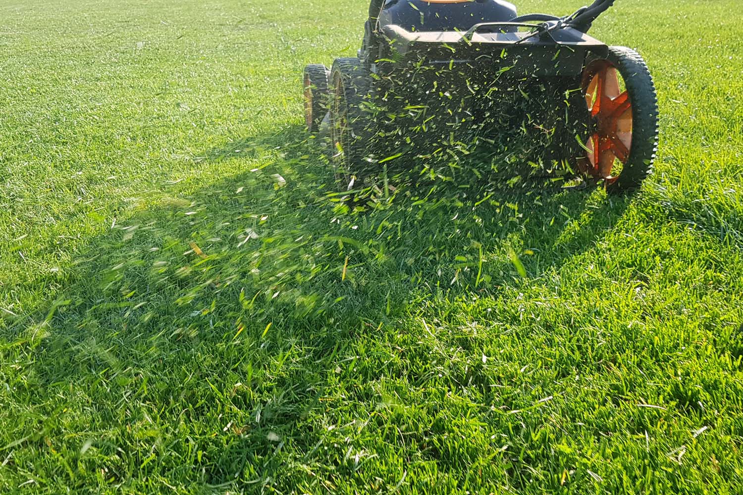 Landscape Contractor SG | Landscape Maintenance & Services