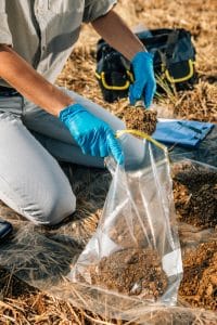 Soil Checking for Lawn Care in New Orleans From Big Easy Lawn Care