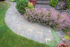 stone pathway in Covington