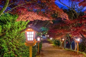 garden path with japanese inspired lamps