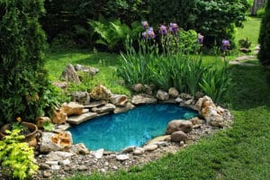 Pond Installation