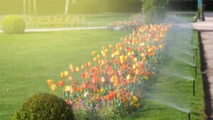 Irrigation System Lawn Care