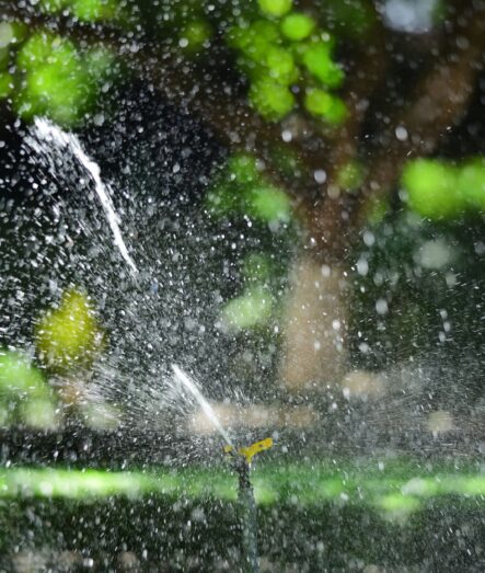 Sprinkler watering a lush green lawn