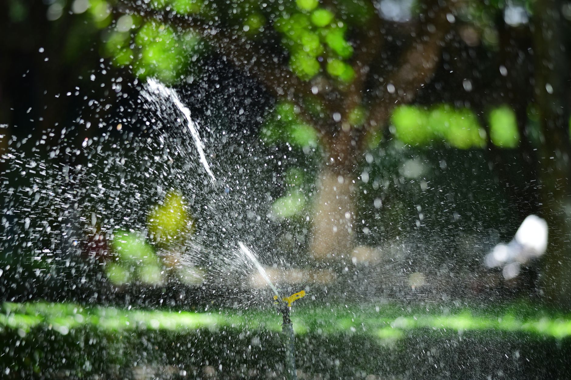 Sprinkler watering a lush green lawn