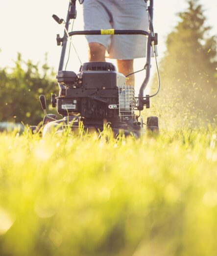 Mowing fresh green grass with a lawn mower