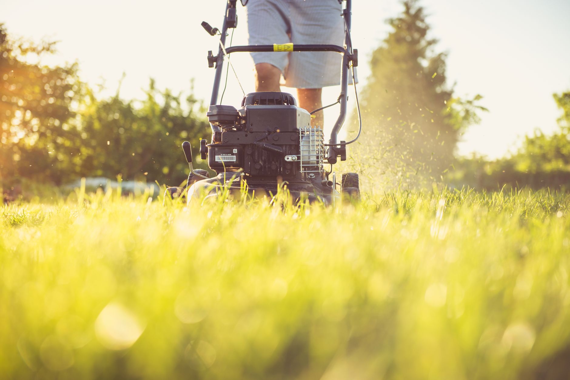 Mowing fresh green grass with a lawn mower
