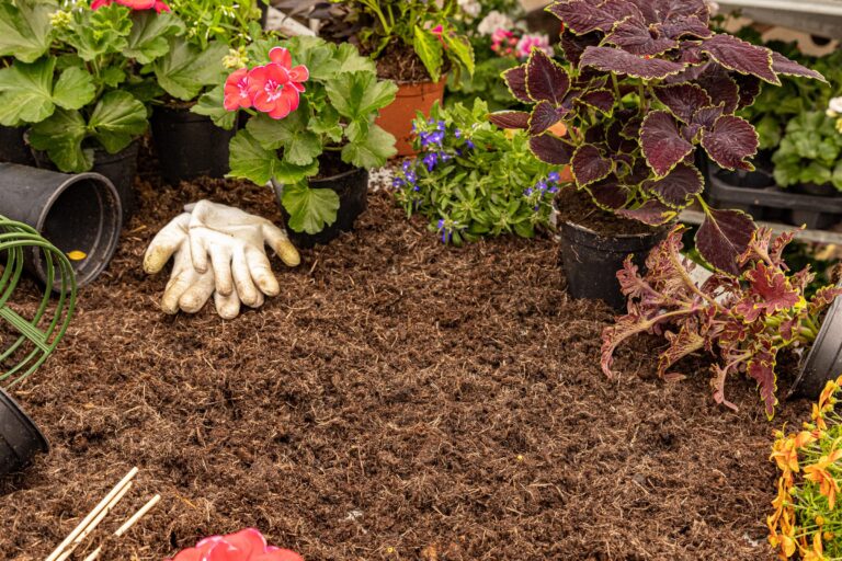 Loose shredded mulch spread beside potted flowers and a pair of garden gloves