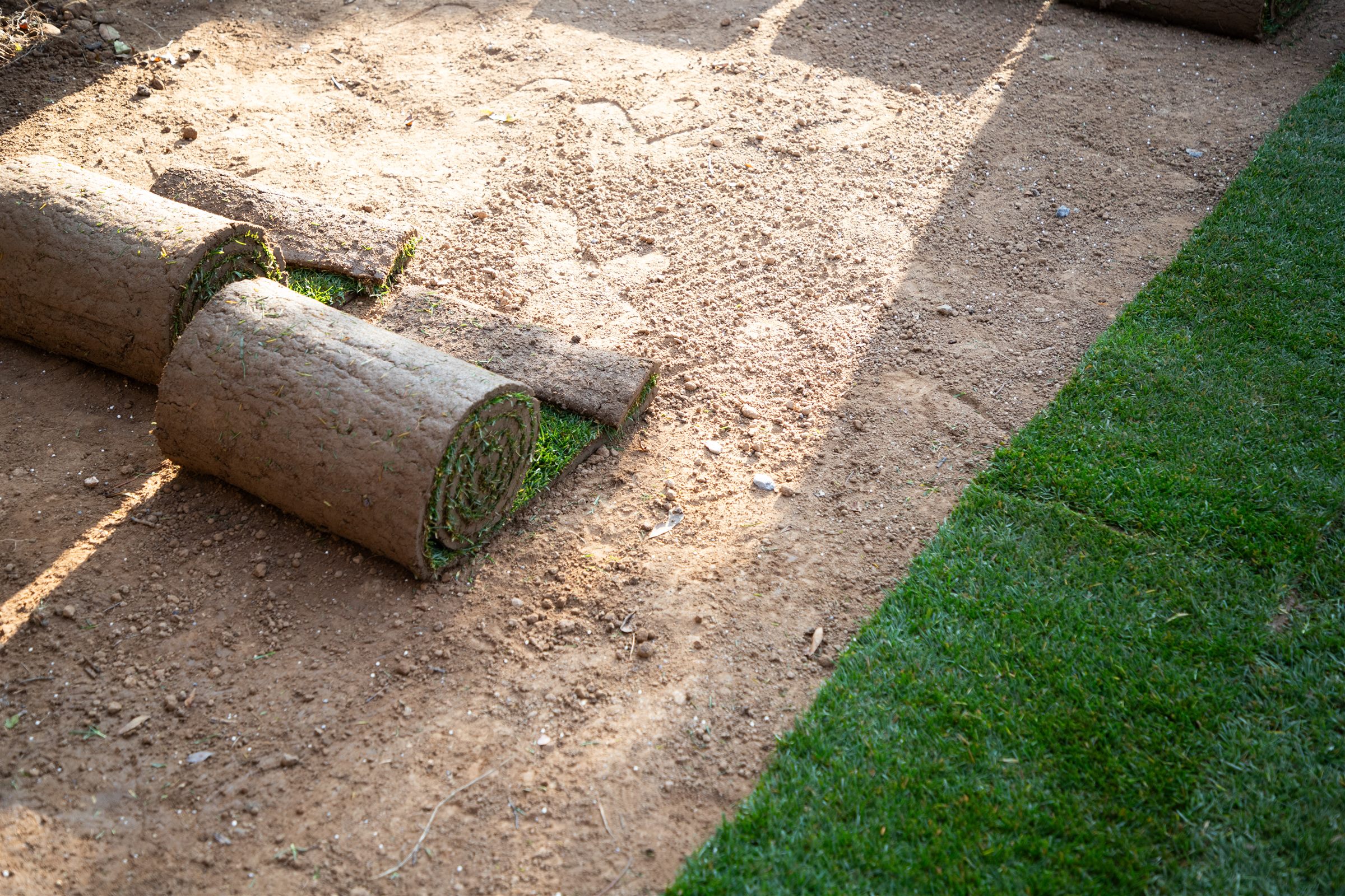 Rolls of fresh sod on prepared soil next to a newly laid strip
