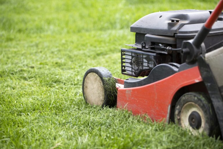Red lawn mower cutting a green lawn