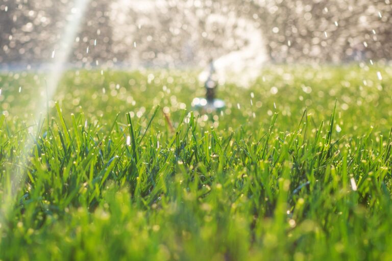Lawn sprinkler spraying water over green grass