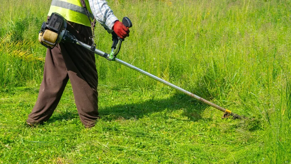 Worker in a safety vest string trimming tall grass
