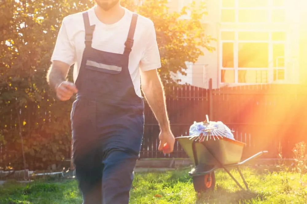 Worker in overalls pushing a wheelbarrow of yard waste in evening sun