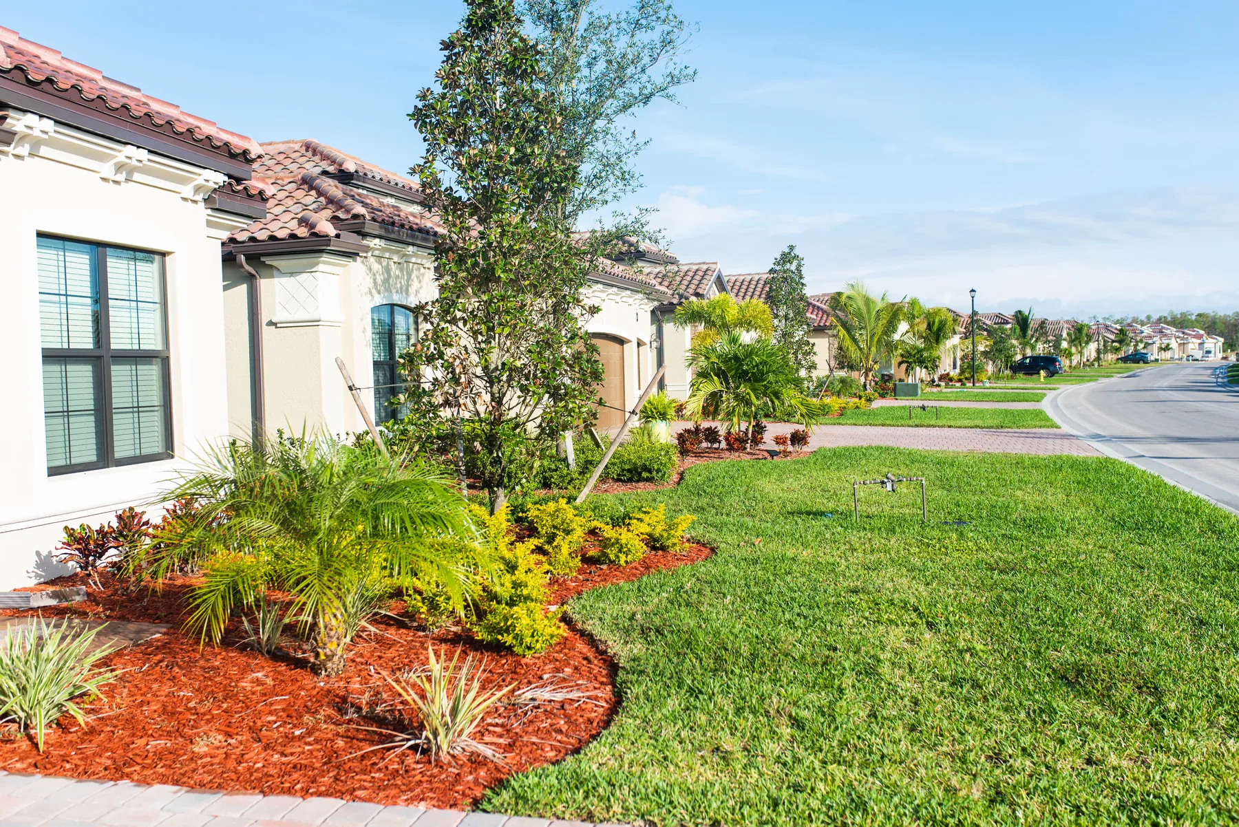 Front yard garden bed of palms and shrubs in fresh red mulch beside a house