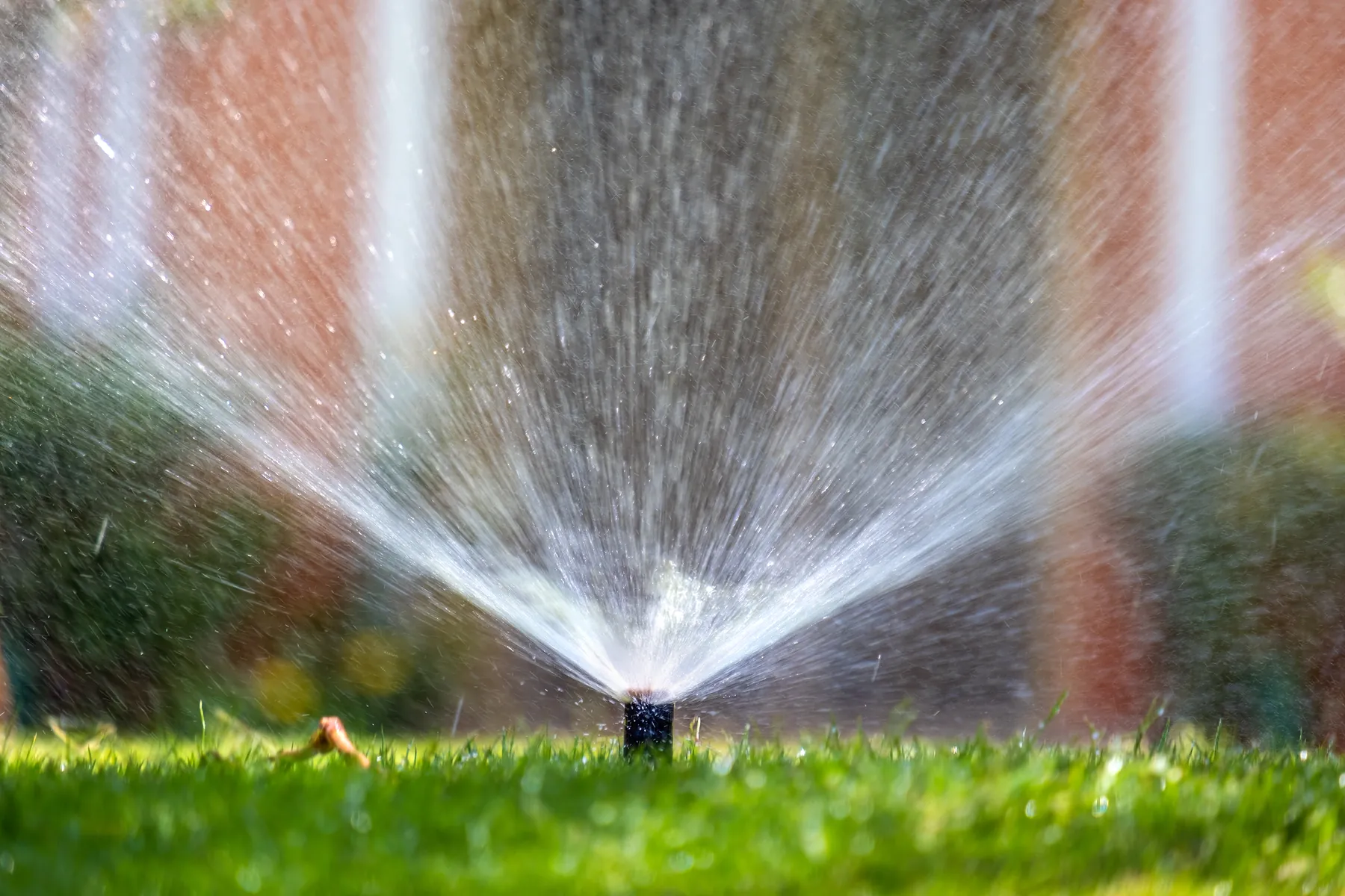 Sprinkler head spraying a wide arc of water over a lawn in front of a brick wall