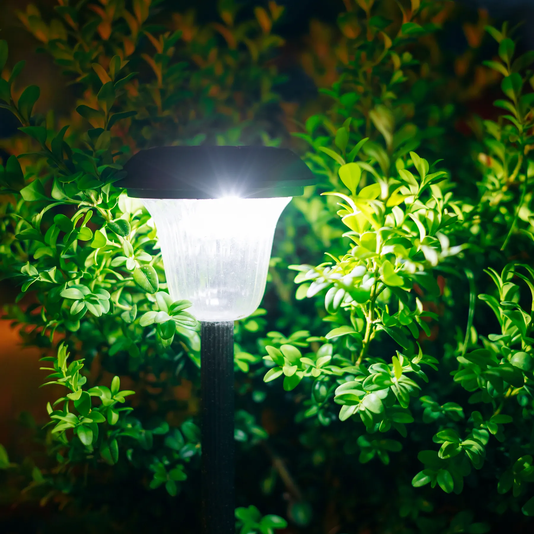 Outdoor garden light fixture glowing among green leaves at night