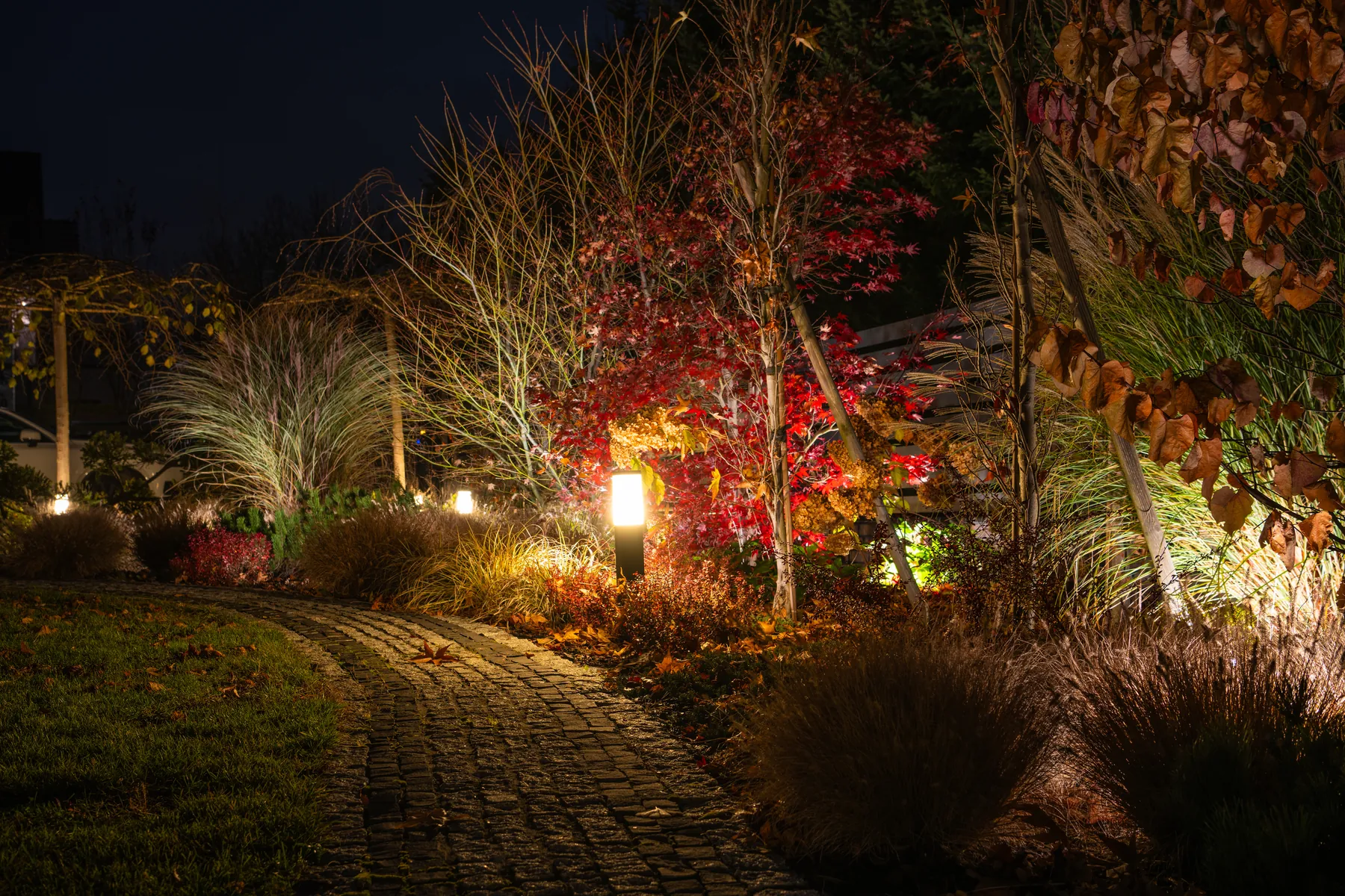 Stone garden path at night lit by a post light and spotlights on shrubs and trees