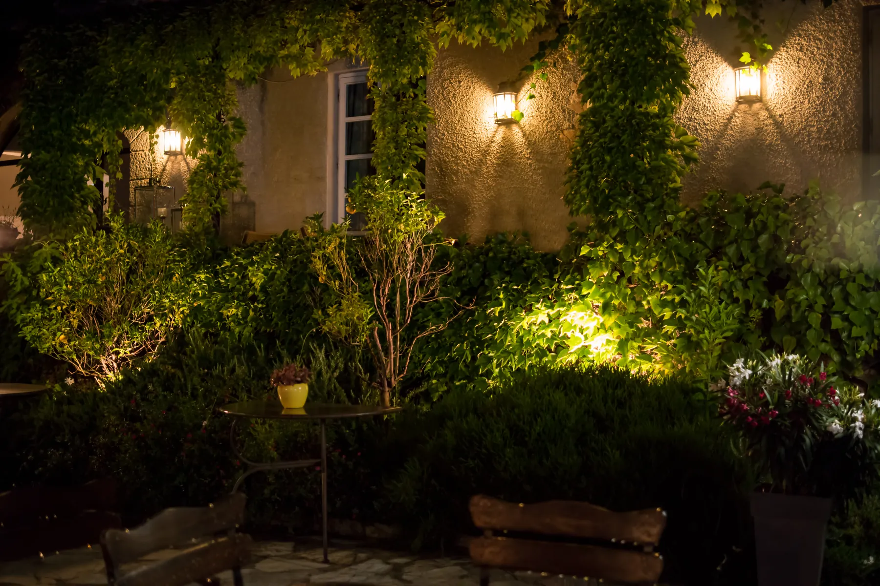 Wall lanterns and garden spotlights glowing over climbing vines and shrubs at night