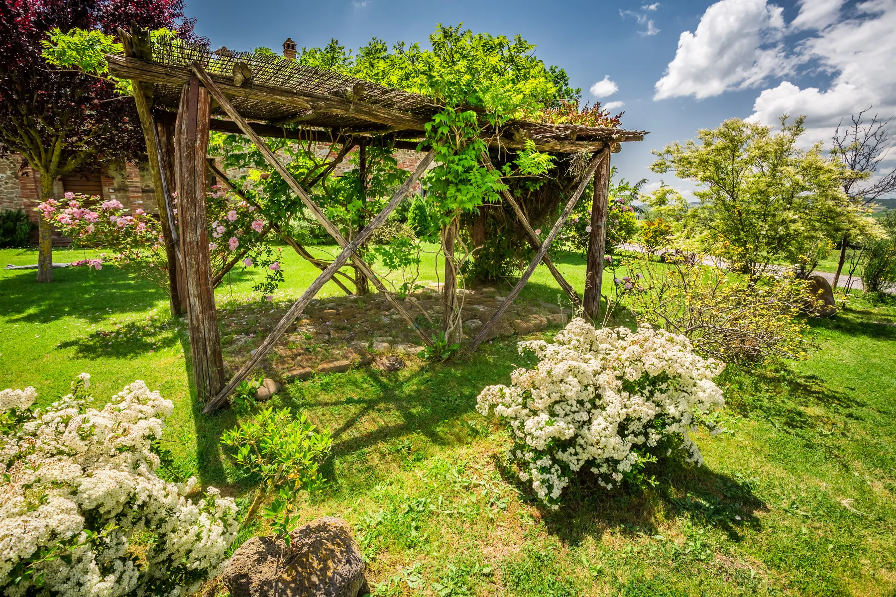 Rustic wooden pergola wrapped in vines in a backyard garden with flowering shrubs