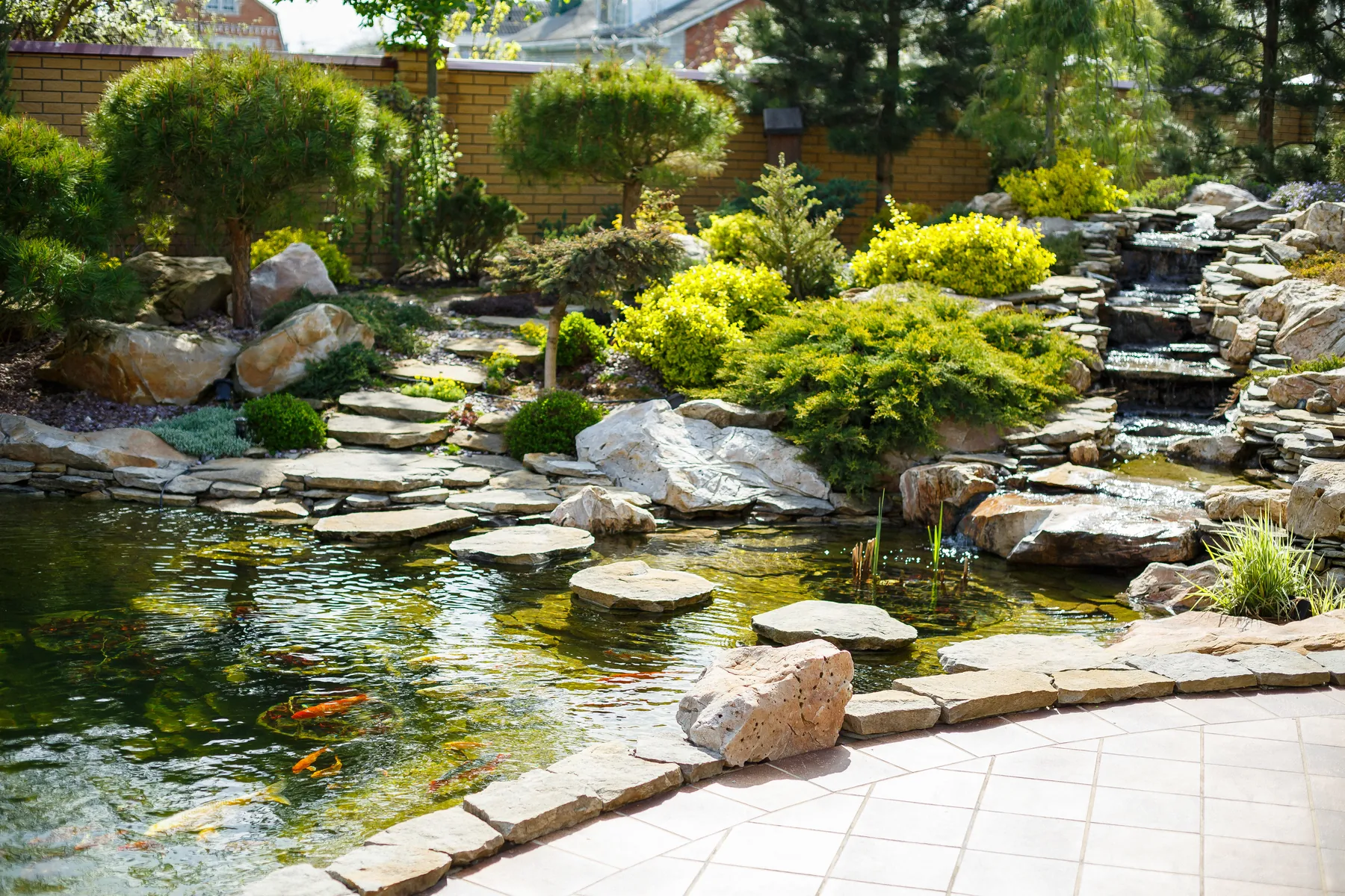 Natural stone pond with stepping stones, a small waterfall and evergreen shrubs