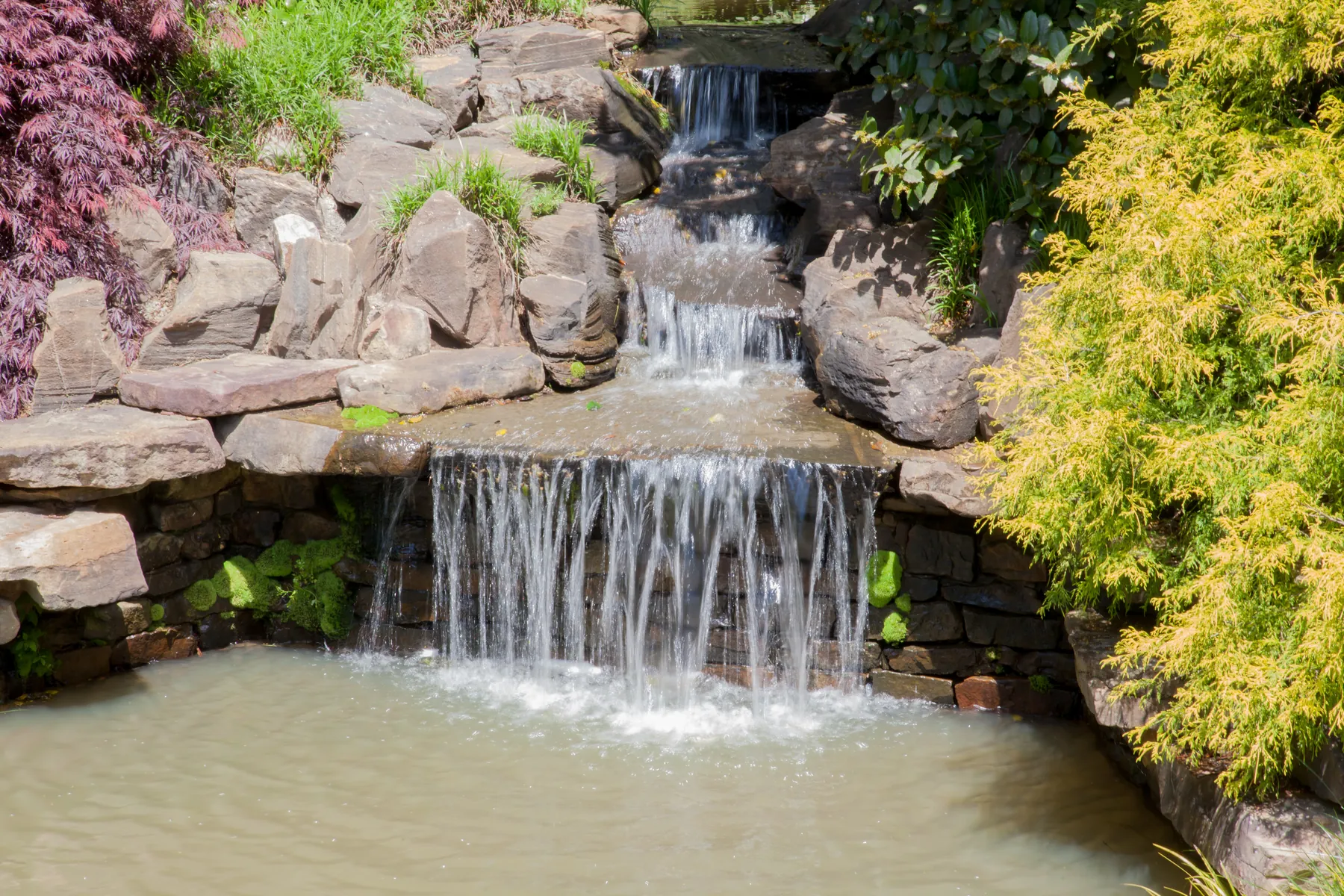 Small waterfall spilling over stacked rocks into a pond framed by shrubs