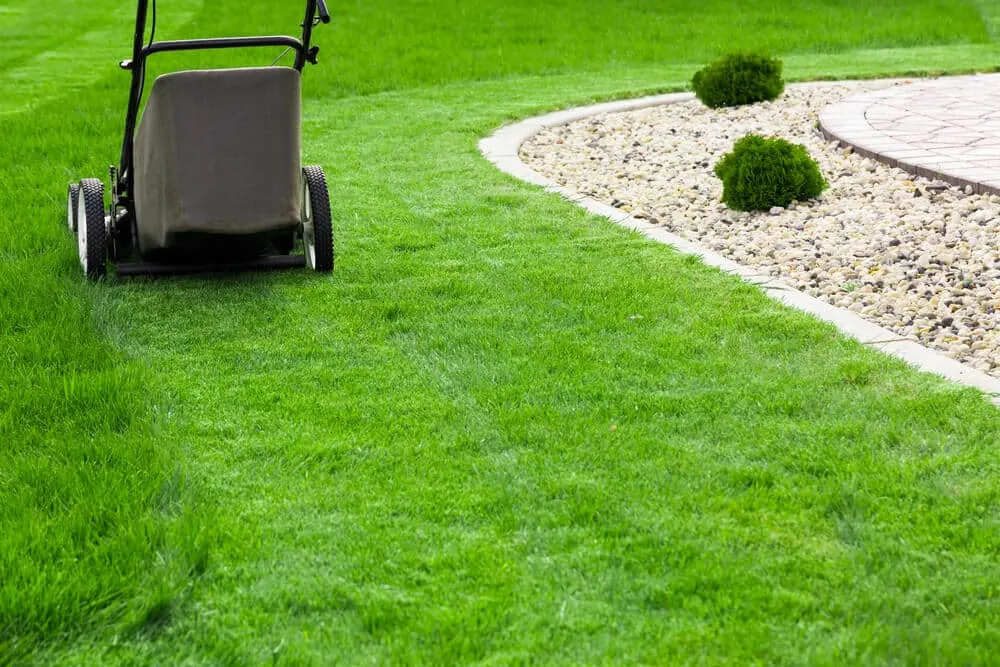Red push mower cutting a curved lawn edge beside a gravel border