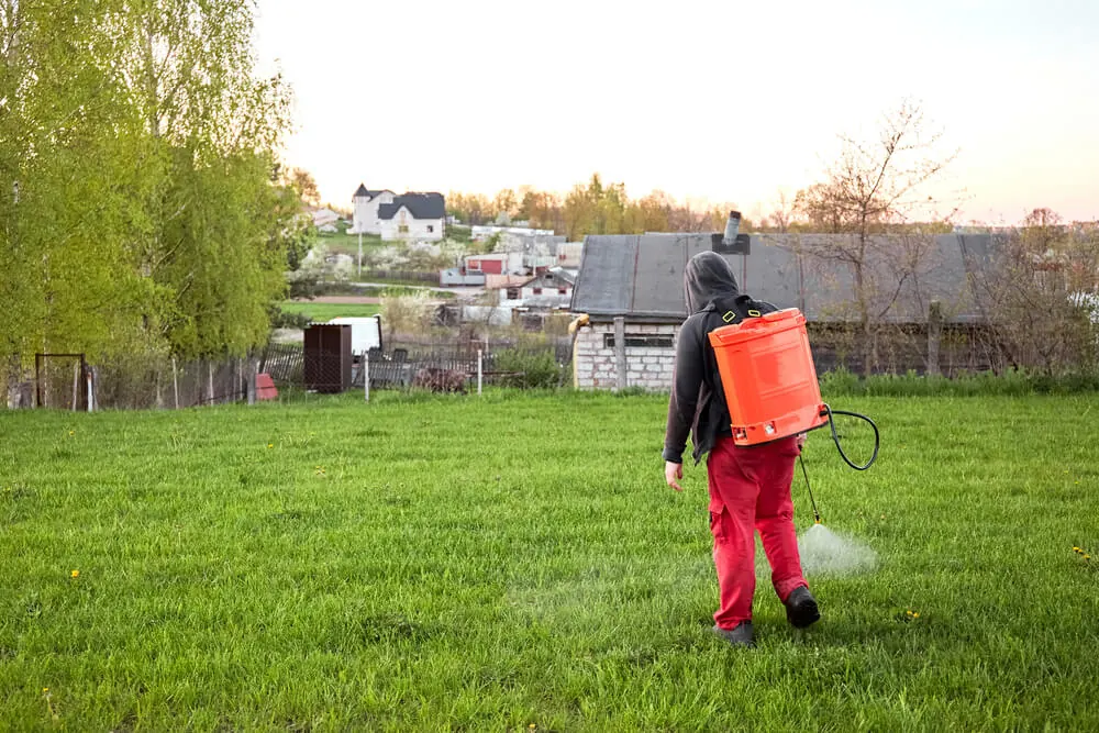 The Role of Fertilization in Seasonal Lawn Care: Tips and Timing