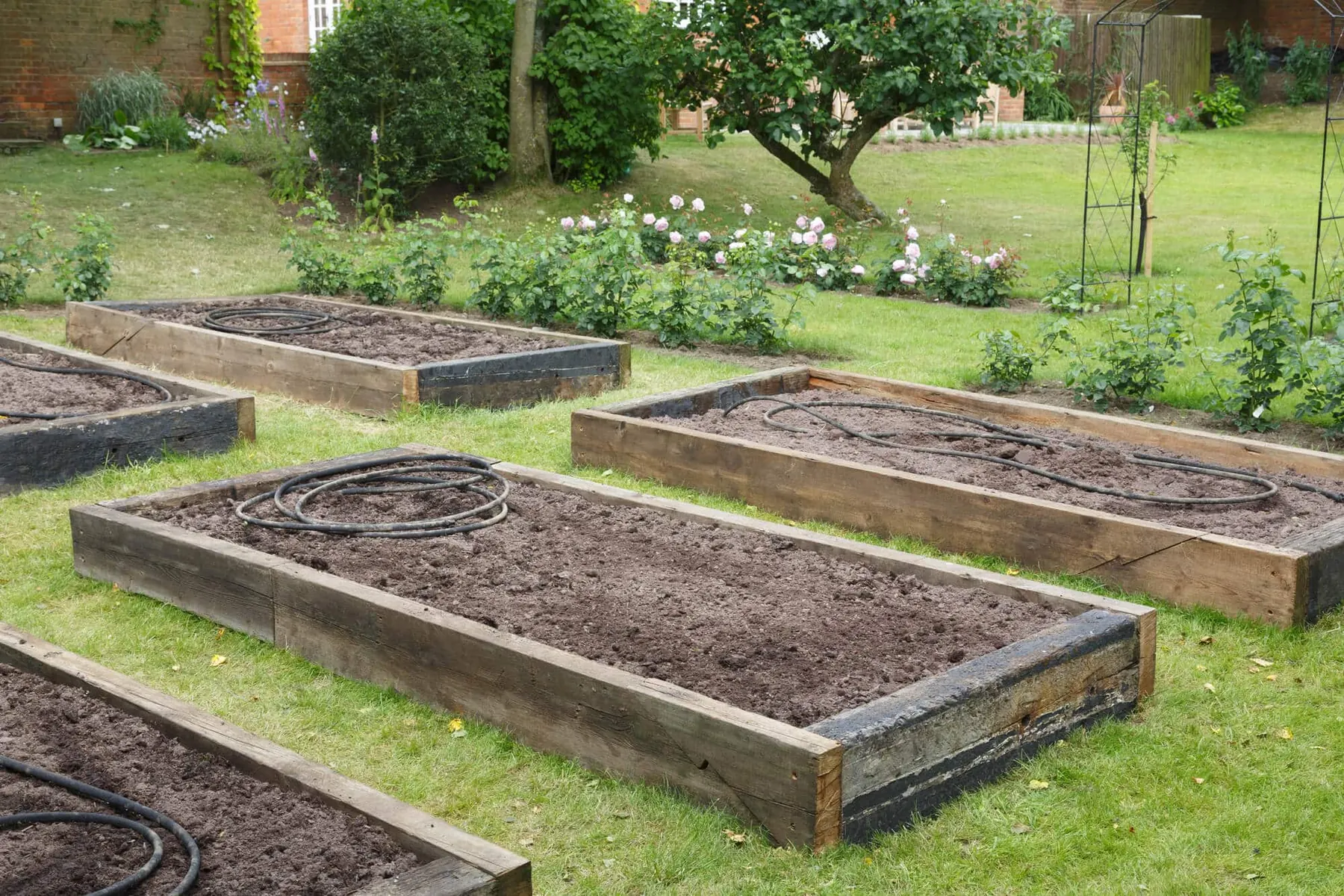 Raised wooden garden beds filled with fresh soil and coiled watering hoses on a lawn