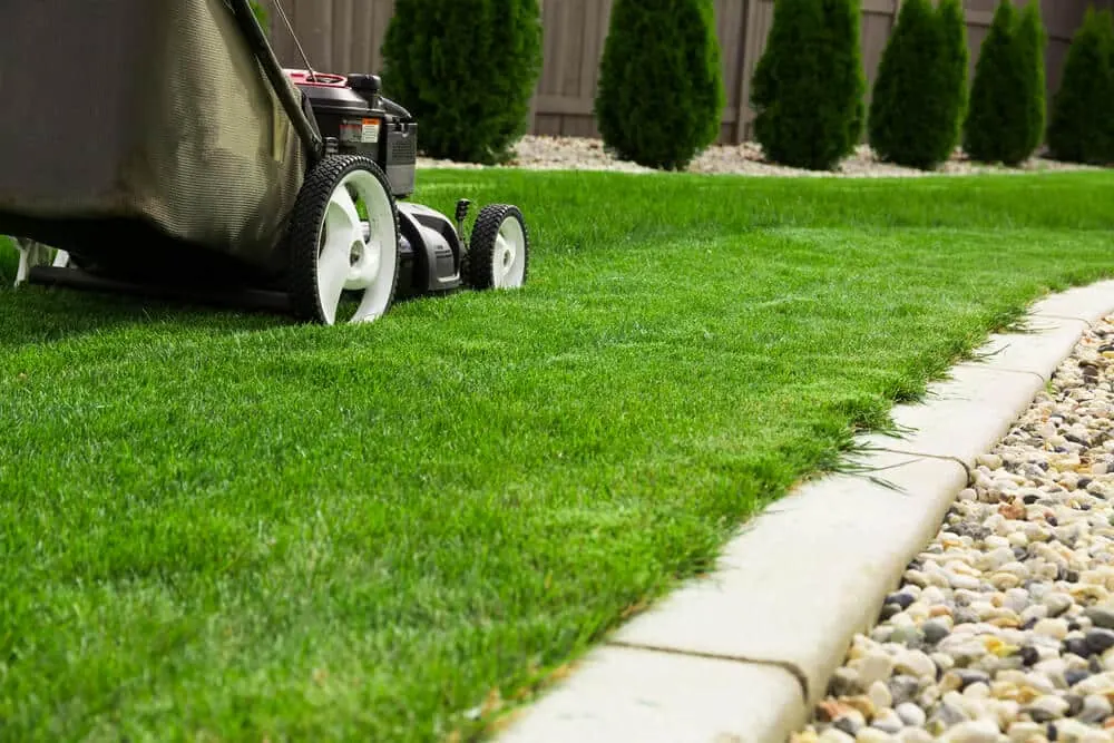 Push mower cutting a straight edge along a concrete curb beside a pebble border and a row of evergreens
