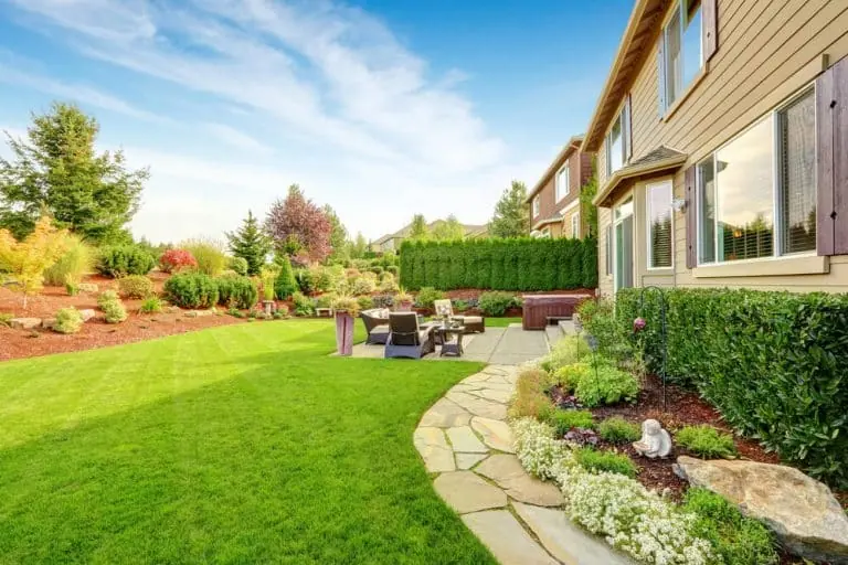 Budget-Friendly Lawn Care Hacks for DIY Enthusiasts