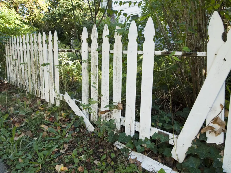 Lawn Renovation: Rescuing an Overgrown or Neglected Yard