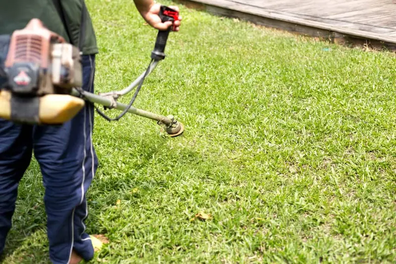 How Often Should You Cut Weeds for Optimal Lawn Health?