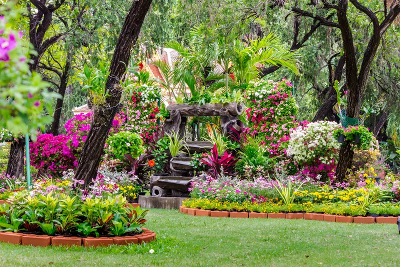 Top Signs Your Yard Needs Professional Landscape Restoration