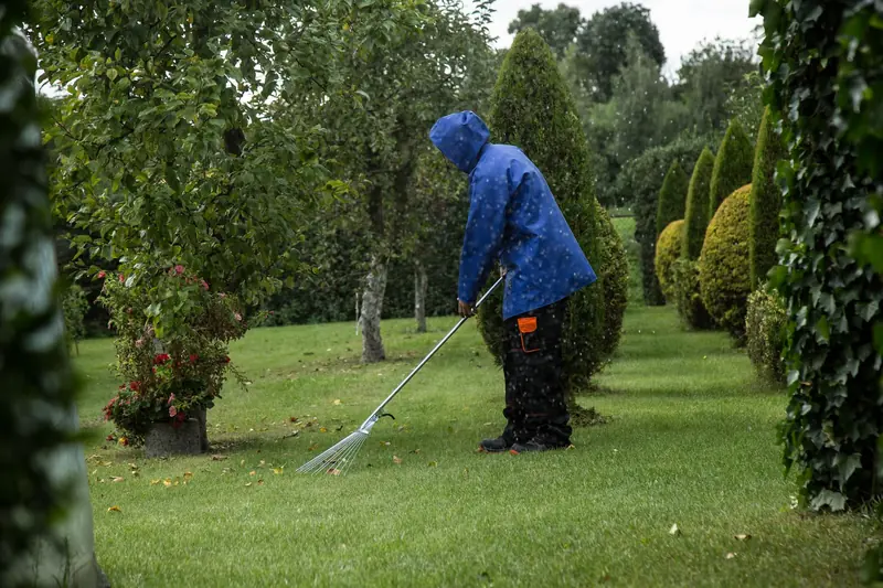Lawn Aeration and Dethatching: Reviving Your Grass for Lushness in New Orleans, LA