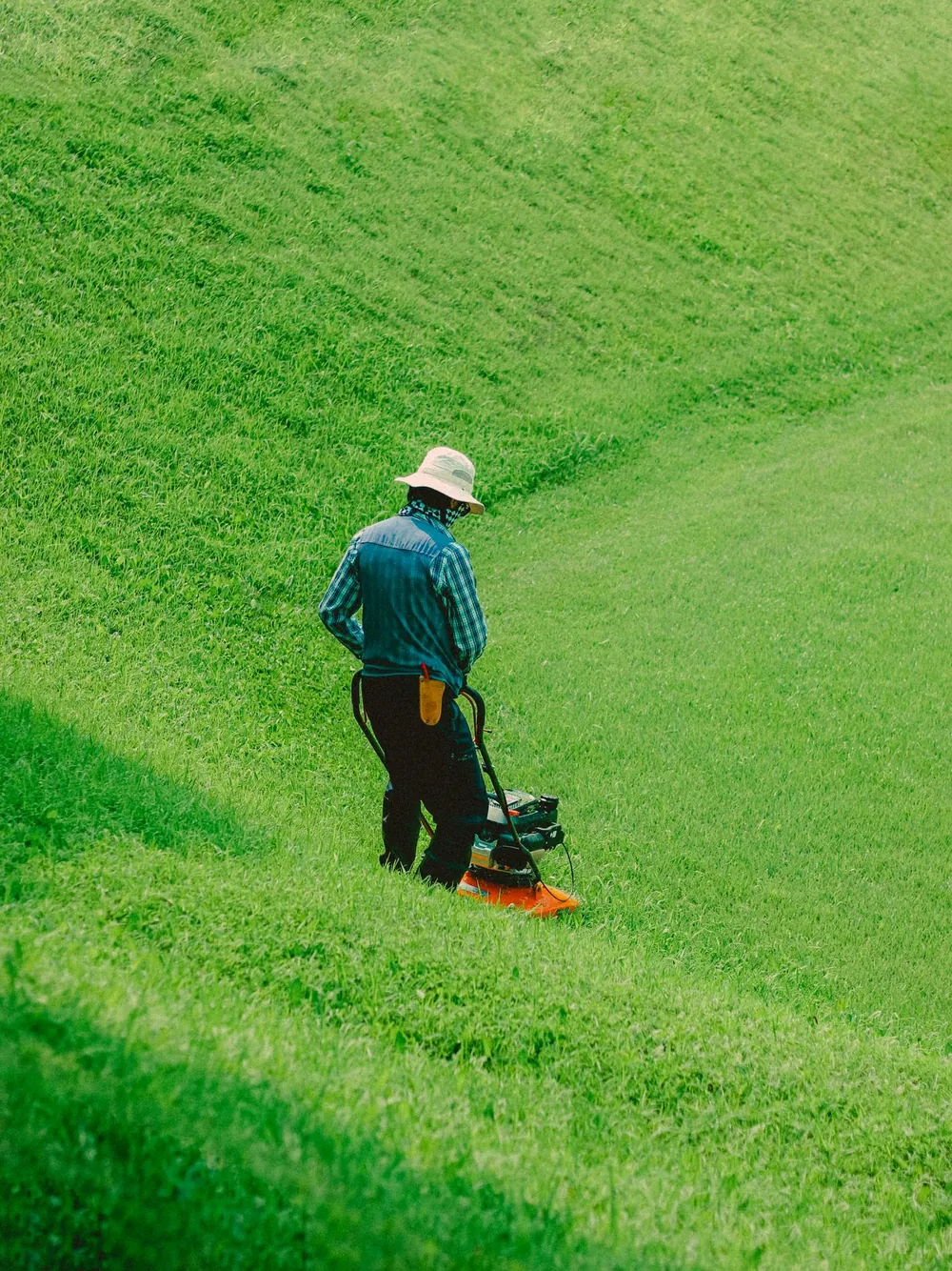 Lawn care worker seen from behind mowing a large green lawn
