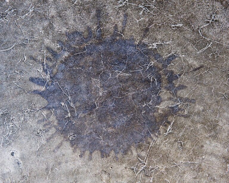 Dark round stain soaked into a concrete surface